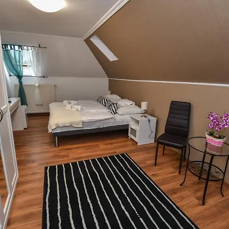 فندق مبيت وإفطار E-vasko Panzio Borpince