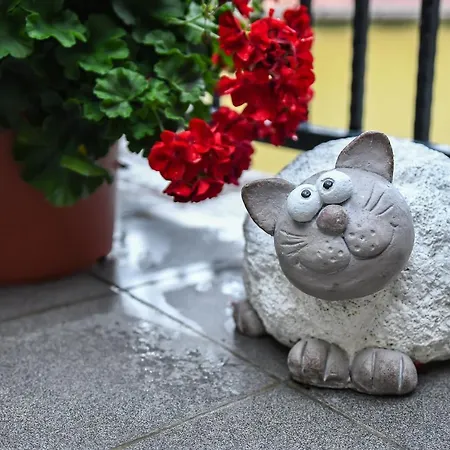 E-vasko Panzio Borpince توكاي