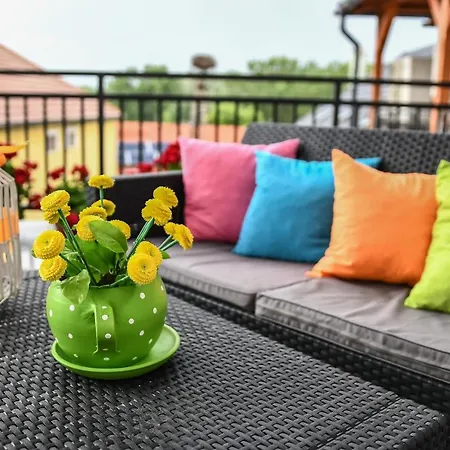 E-vasko Panzio Borpince توكاي