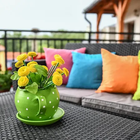E-vasko Panzio Borpince Bed & Breakfast *
