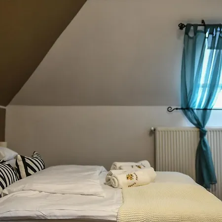 فندق مبيت وإفطار E-vasko Panzio Borpince 3*