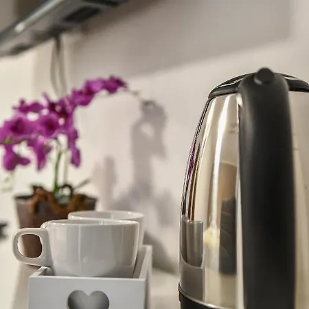 לינה וארוחת בוקר E-vasko Panzio Borpince 3*