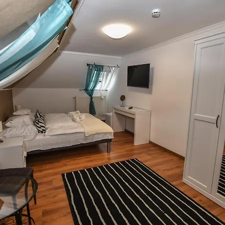 Bed & Breakfast E-vasko Panzio Borpince 3*