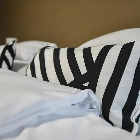 E-vasko Panzio Borpince Bed & Breakfast *