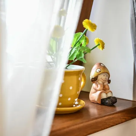 Bed & Breakfast E-vasko Panzio Borpince
