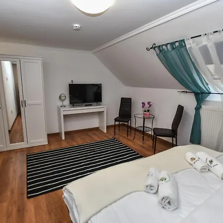 E-vasko Panzio Borpince Bed & Breakfast Tokaj