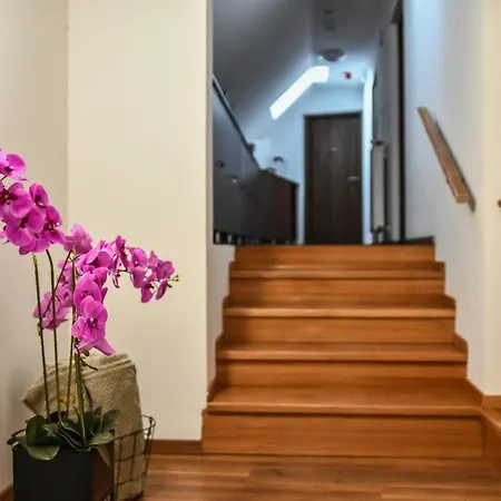 E-vasko Panzio Borpince Bed & Breakfast *