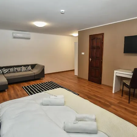 فندق مبيت وإفطار E-vasko Panzio Borpince 3*