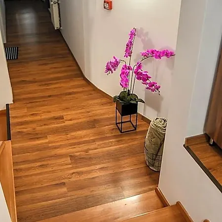 E-vasko Panzio Borpince Bed & Breakfast