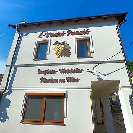 Bed & Breakfast E-vasko Panzio Borpince